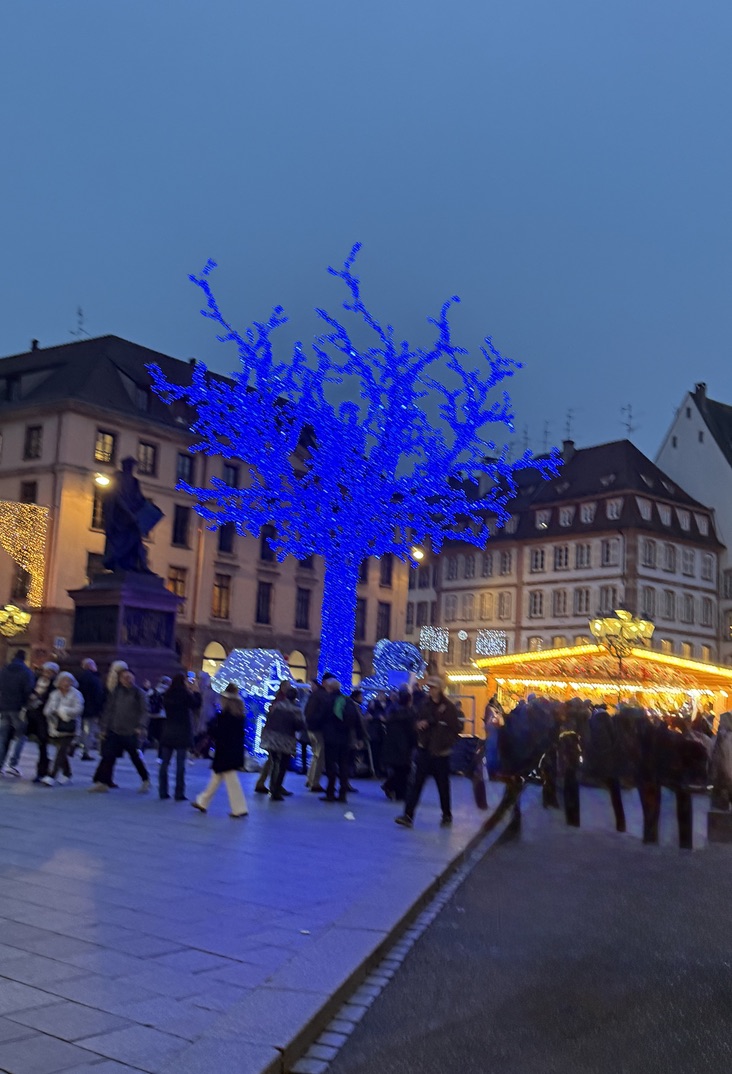 Blue-lit tree and golden market stalls in a decorated town square